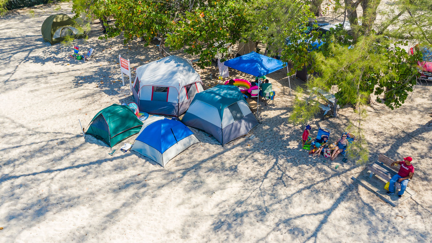 Easter campers advised to watch for turtle nests, keep spaces clean
