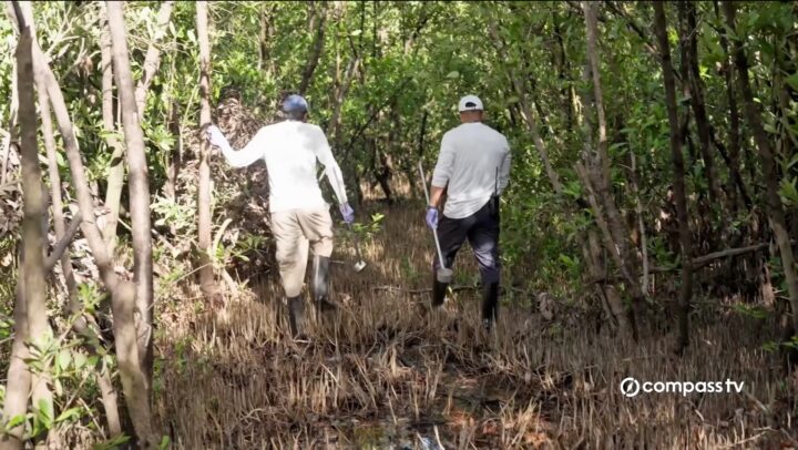 Controling the spread of mosquitoes