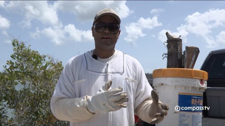 Agricultural Plan Bee