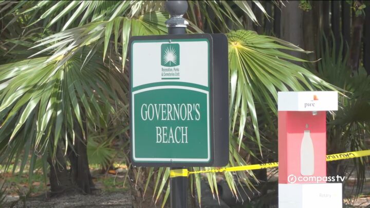 Bee hive swarm closes beach