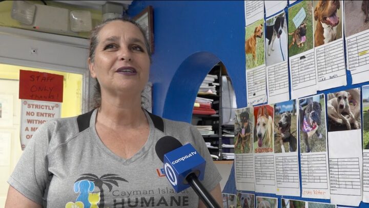 Humane Society phased reopening