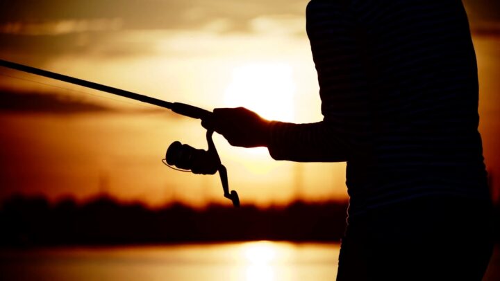 New legislation for harvesting marine life