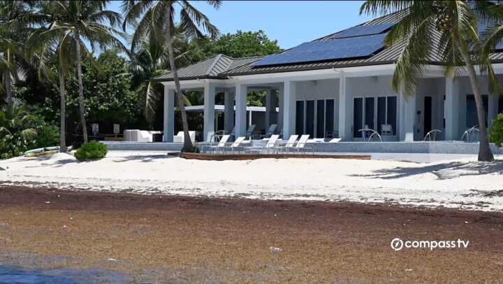 Public advised to use caution with seaweed 