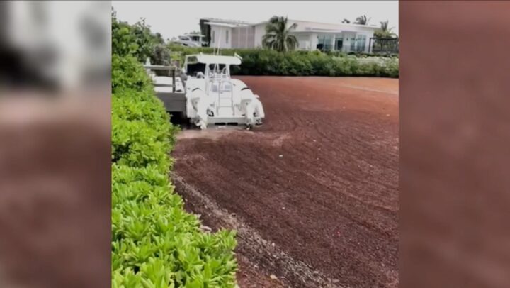 Hotels battle sargassum influx alone