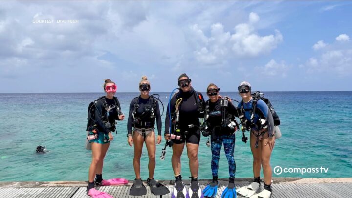 Women’s Dive Day attracts scores