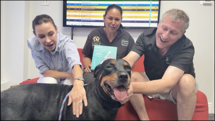 Pet of the Month