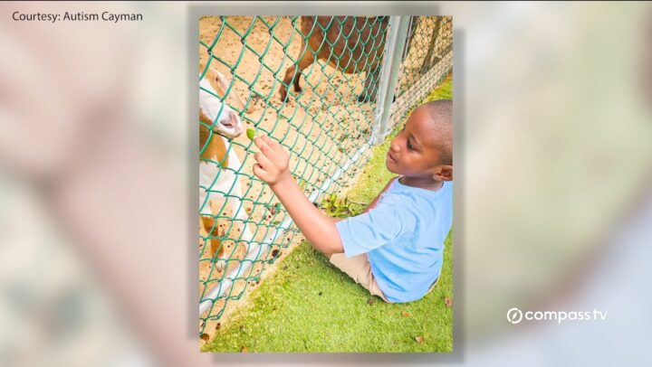 A summer to remember – Spectrum Camp brings joy to neurodivergent kids