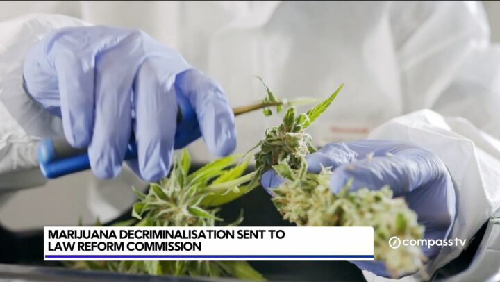 Commission to look into decriminalisation of small amounts of ganja