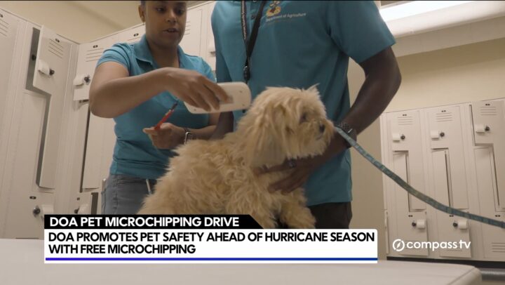 DOA pet microchipping drive