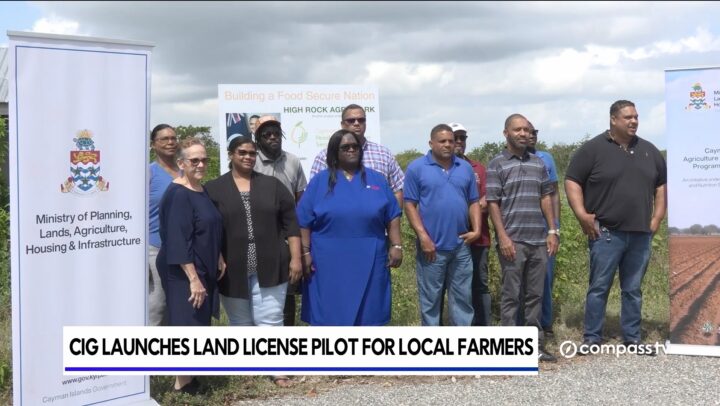 Government land-use policy