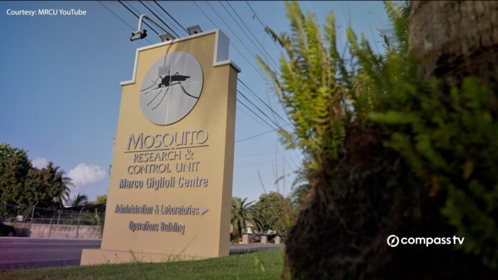 MRCU ramps up mosquito suppression as rainy season brings a surge