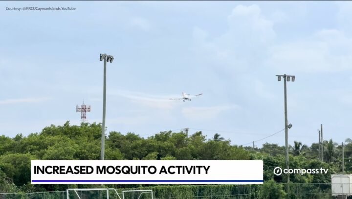 MRCU warns of rising mosquito activity after recent rainfall