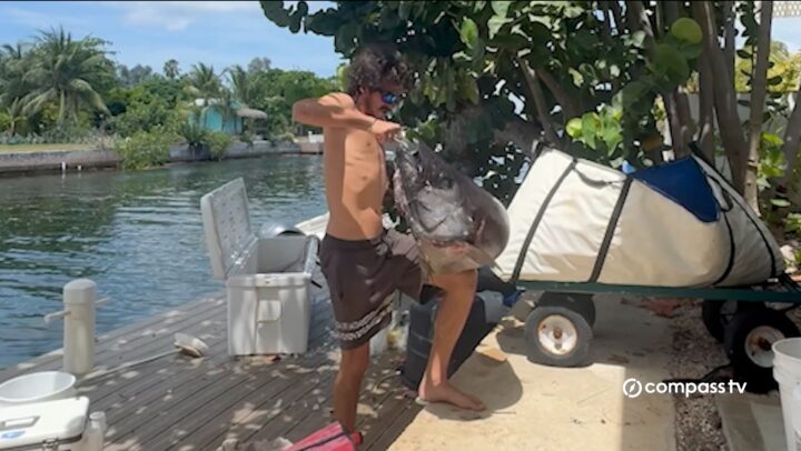Wrong reel for two potential world-record fishing
