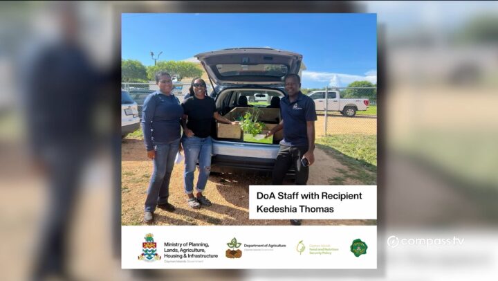 Backyard garden kits distributed to promote food security
