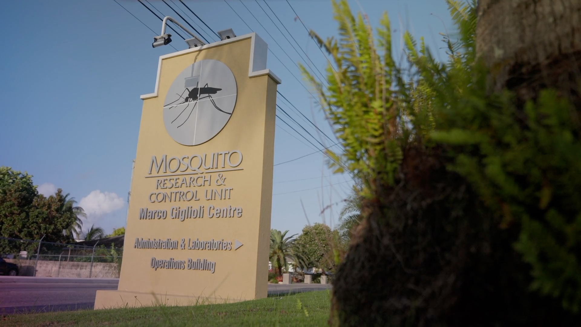 MRCU increases mosquito control efforts - Compass TV