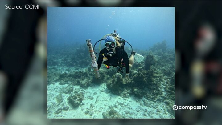 Using sound to restore coral reefs in Little Cayman