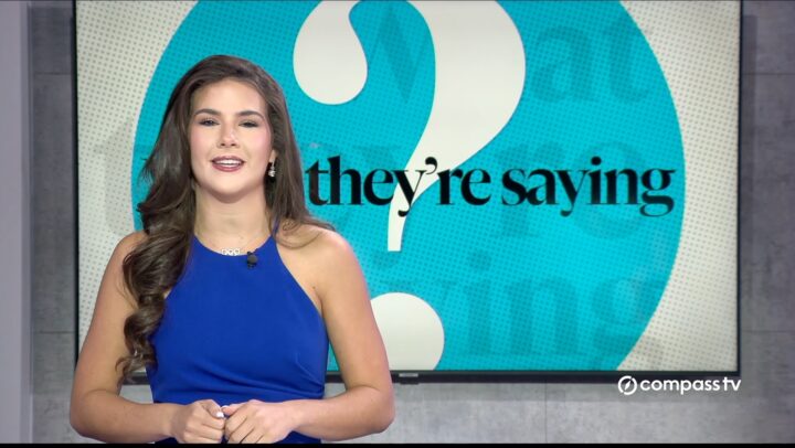 What They’re Saying