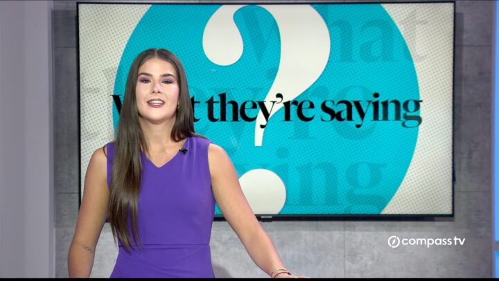 What They’re Saying