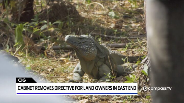 Cabinet removes directive for land owners in East End