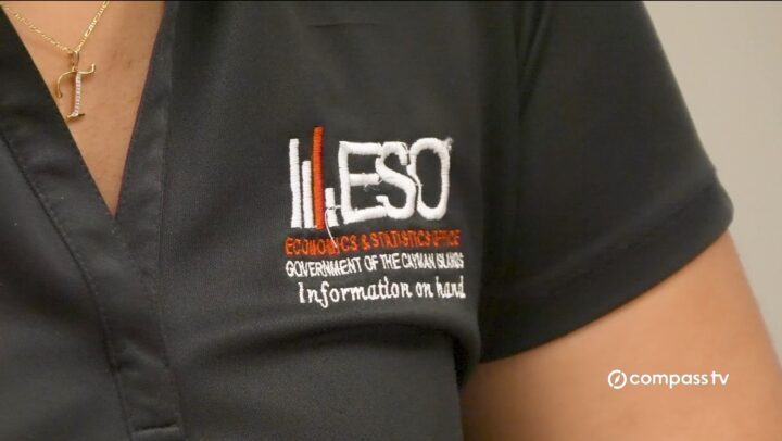 The ESO Survey is back