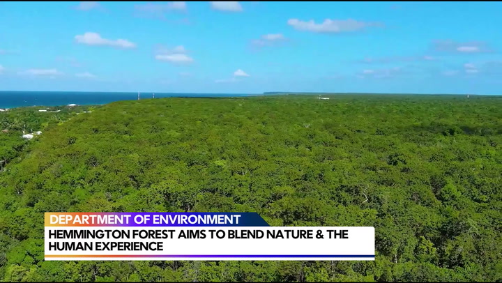 Hemmington Forest aims to blend nature & human experience