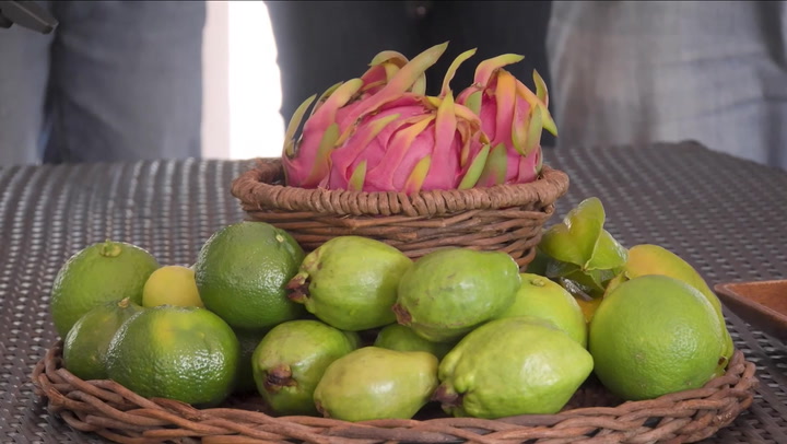 Local Businesses Support Food Sustainability