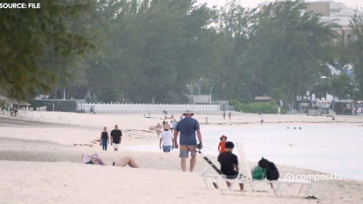 DOE warns beachgoers of jellyfish and rising ‘sea-itch’ reports