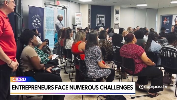 How small businesses can access support through CICBD