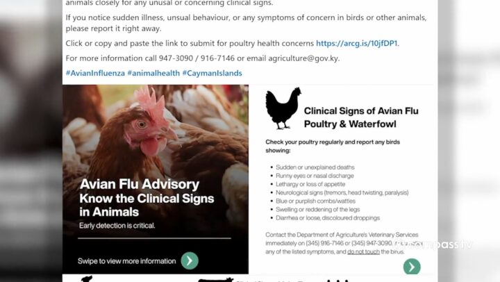 Officials expand surveillance as avian flu containment continues
