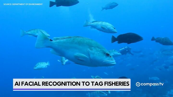 AI facial recognition to tag fisheries  