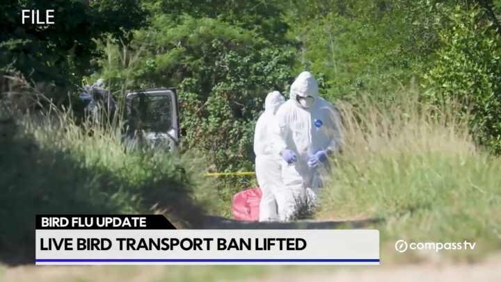 Ban on movement of live birds lifted