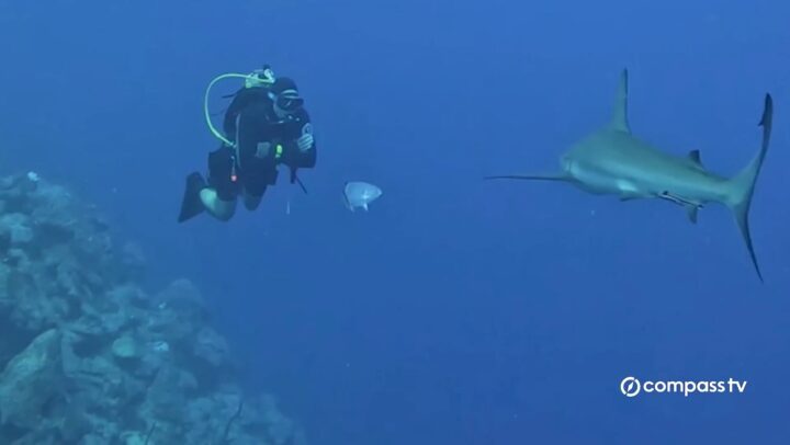 DOE UNESCO Heritage Status