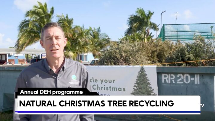 The DEH kicks off its Natural Christmas Tree Recycling Programme