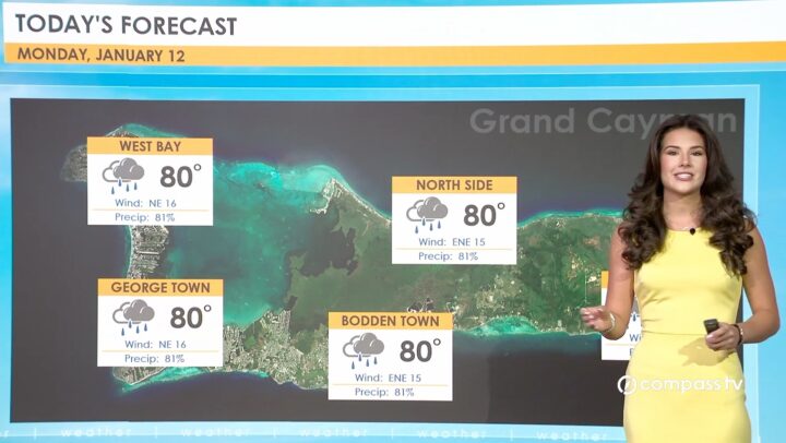 Weather Report – 12 January 2026