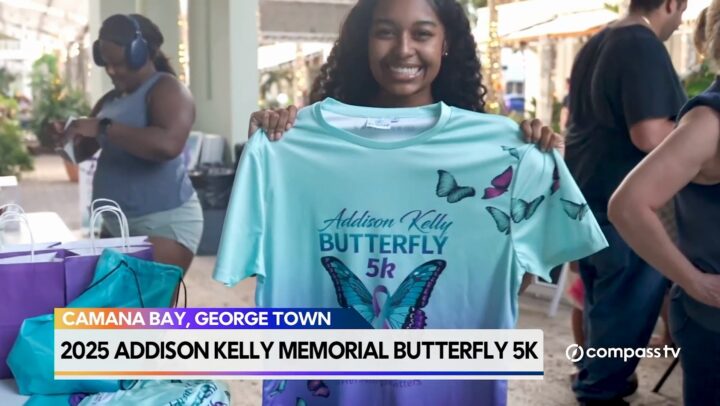 Addison Kelly mental health fund update