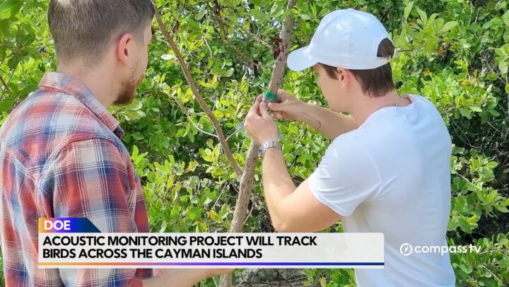 DOE Avian Acoustic Monitoring Project