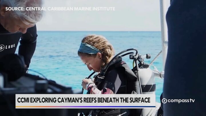 Reefs go live – bringing Cayman’s coral reefs into the classroom