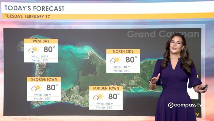 Weather Report – 17 February 2026