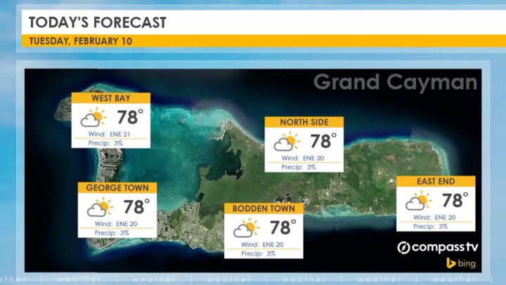Weather Report – 10 February 2026