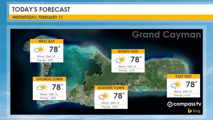 Weather Report – 11 February 2026